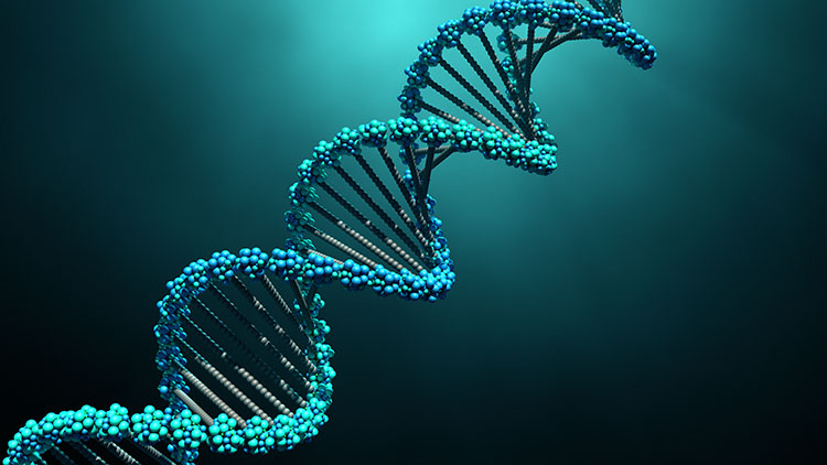 Human Genome at Super Resolution | Harvard Medical School